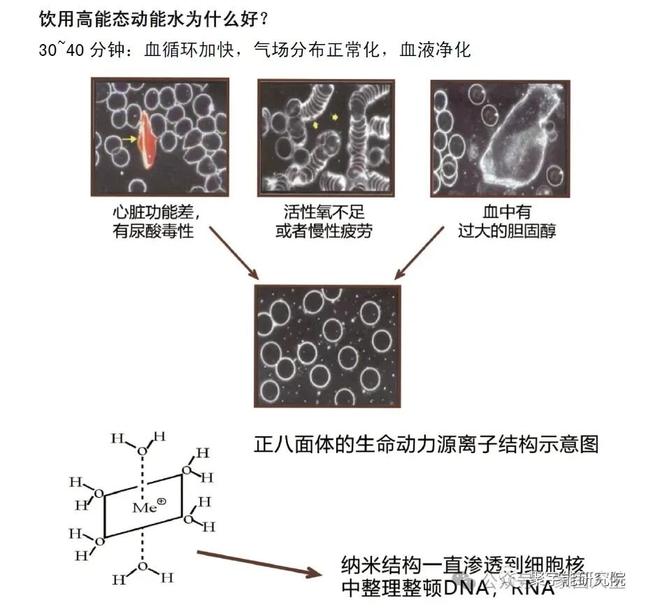 哈佛医学院研究公布的人类“长寿密码”是在步中国科学家金日光教授的后尘(图16)