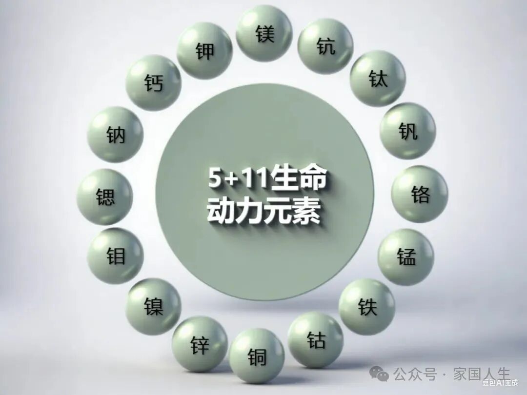 哈佛医学院研究公布的人类“长寿密码”是在步中国科学家金日光教授的后尘(图6)