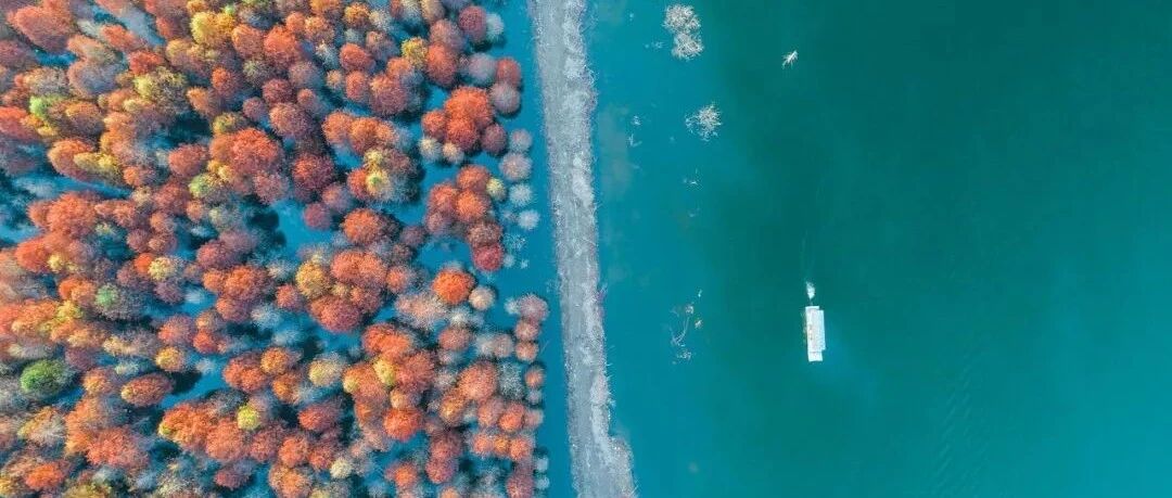 这100张照片，就是秋天去旅行的全部理由！