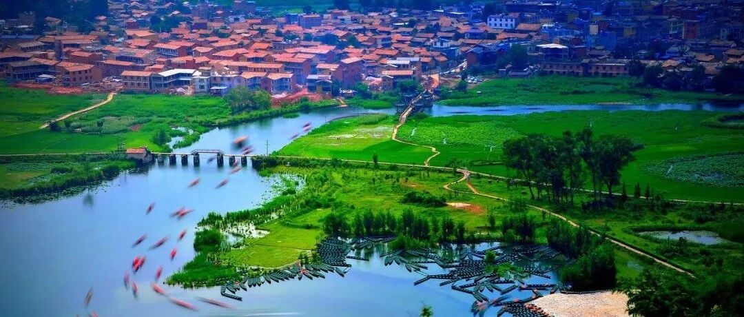 20000亩荷花铺满夏天，普者黑美哭了世界！