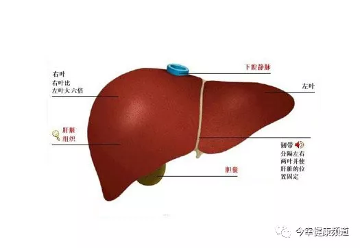 冬季:肝癌患者一定要做好的5件事 冬季:肝癌患者一定要做好的5件事