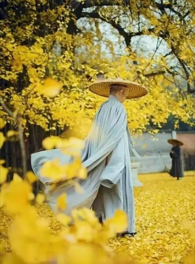 640?wx_fmt=jpeg&tp=webp&wxfrom=5&wx_lazy=1&wx_co=1