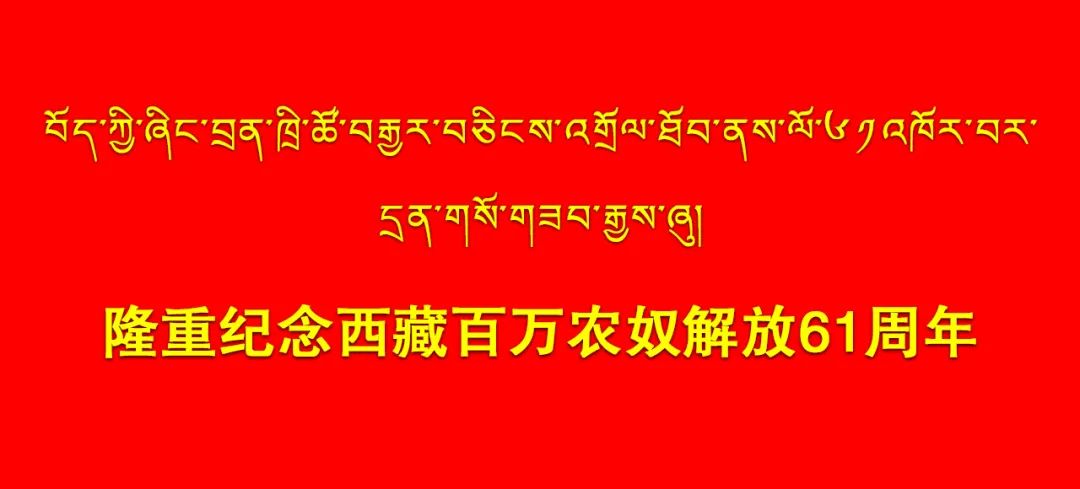 致富经创业项目养殖羊_致富养羊能手资料_致富经养羊