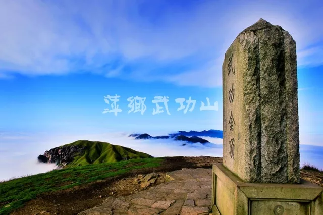 点击放大