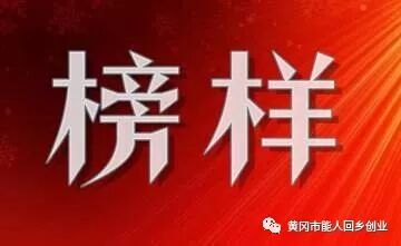 关于环保的创新创业项目 蕲春县关于能人回乡创业项目环保工作典型交流材料和武穴市关于能人回乡创业项目土地流