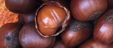 藏在北京胡同里的小馆，是我的快乐源泉！