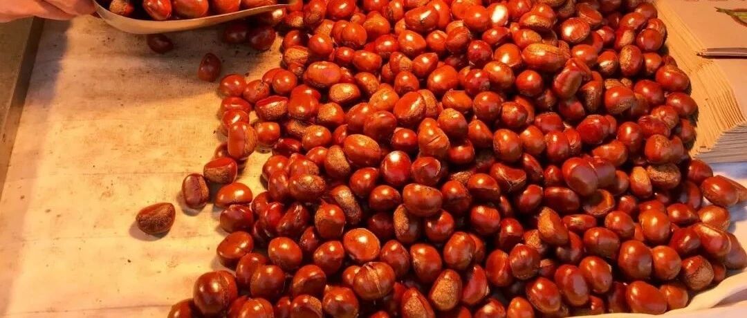 炒饼、炒窝头、炒合菜，北京人今天炒什么？