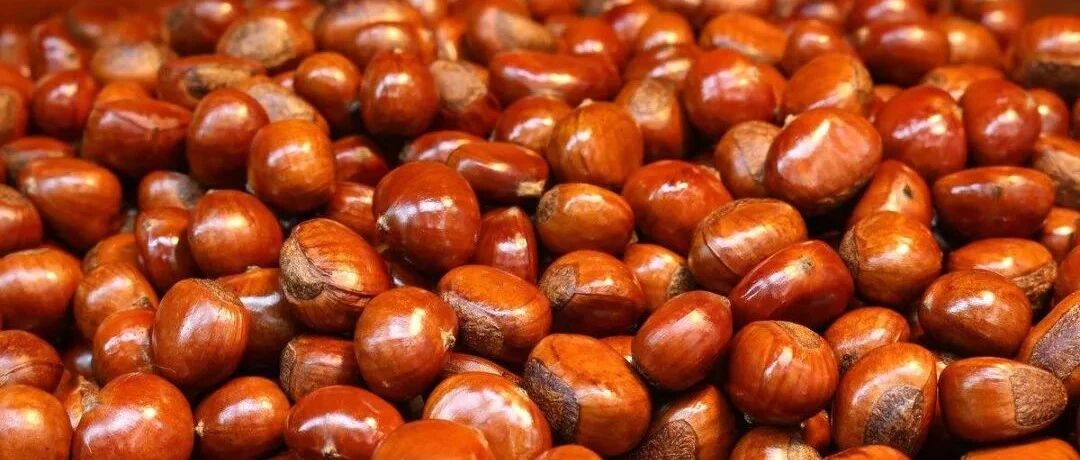 北京人秋冬最爱的吃食，一辈子变不了