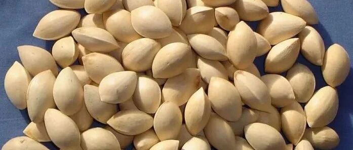 霜降到！北京人咱得安排这些吃食！