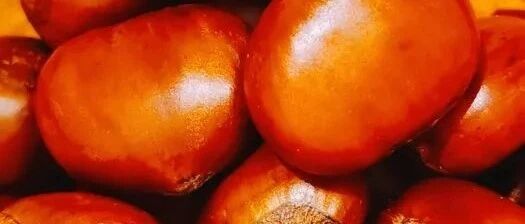 大雪了！最冷的日子不远了，北京人咱得这么过！