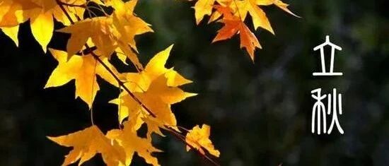 立秋了，今儿的秋膘您怎么贴？