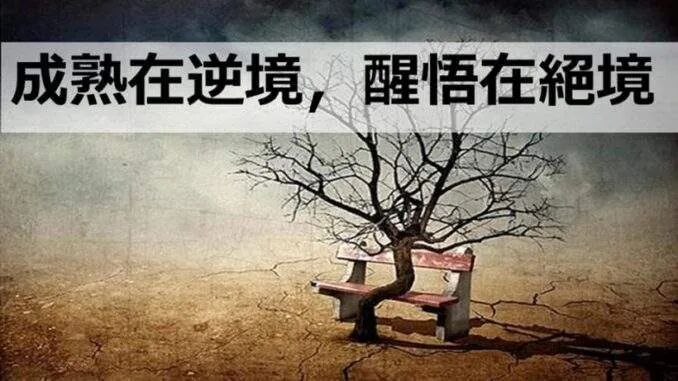 640?wx_fmt=jpeg&tp=webp&wxfrom=5&wx_lazy=1&wx_co=1