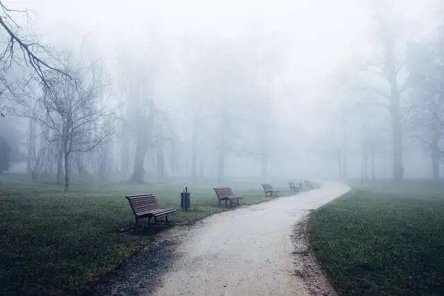 640?wx_fmt=jpeg&tp=webp&wxfrom=5&wx_lazy=1&wx_co=1