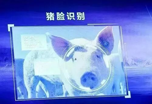 640?wx_fmt=jpeg&tp=webp&wxfrom=5&wx_lazy=1&wx_co=1