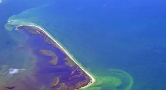 【环境仿真专题第七讲】使用TELEMAC-MASCARET研究英国普尔港不同排污情况对水体营养物分布的影响的图2