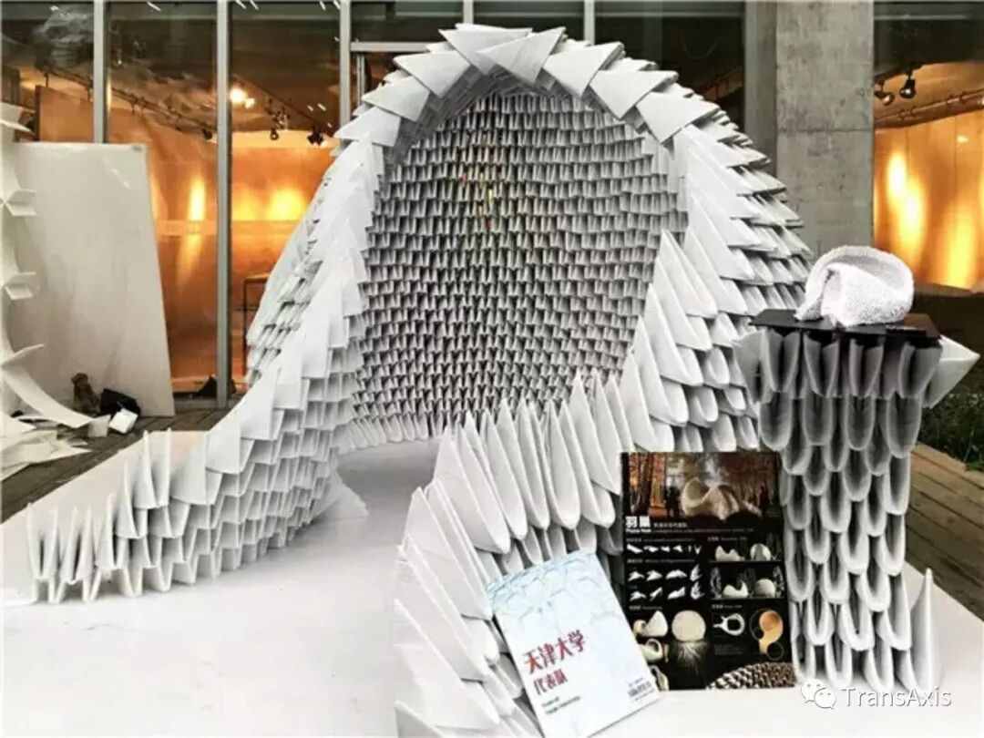 同济建造节，海绵宝宝的奇妙乐园