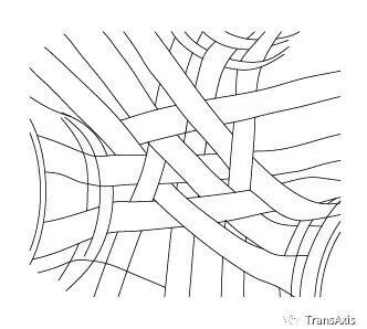 同济建造节，海绵宝宝的奇妙乐园