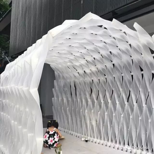 同济建造节，海绵宝宝的奇妙乐园