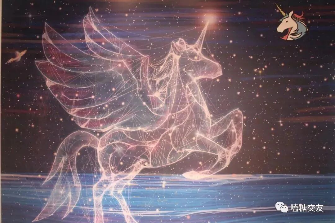 深海/呼吸森林/独角兽星空艺术馆ins风|艺术范|酷girl感…一座城市,一