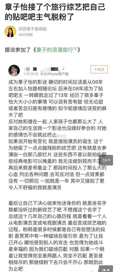 從謝娜秀恩愛被群嘲，到章子怡力挺被罵慘：小心，你的真心會喂了狗！ 娛樂 第9張