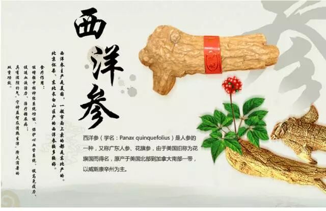 为什么说有了西洋参，很多补品都开始嫌弃了？吃它的好处实在是太