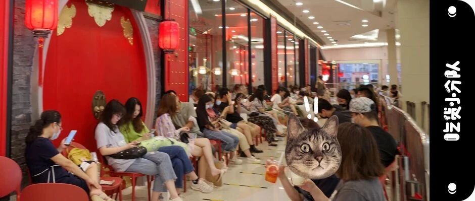 "离谱了，排了10个小时还没吃上"