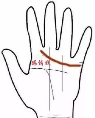 手相十二宫 男女手相五大线图纹详解 科技唔 微信公众号文章阅读 Wemp