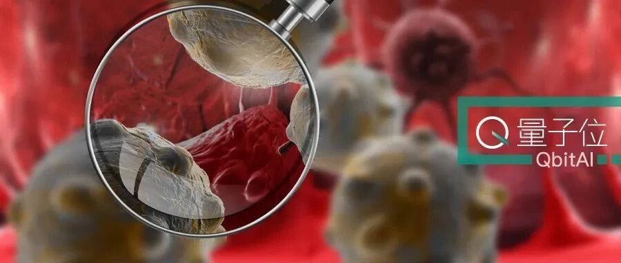 厦大肝癌研究成果登《细胞》顶刊背后：一作中途离世，捐献遗体用于医学研究