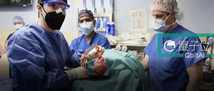 首位猪心移植患者去世！术后存活2个月，创造医学里程碑；官方讣告：哀悼并感谢所作巨大贡献