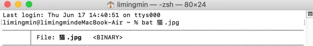 bat语法_语法baseword_bat脚本语法判断引数