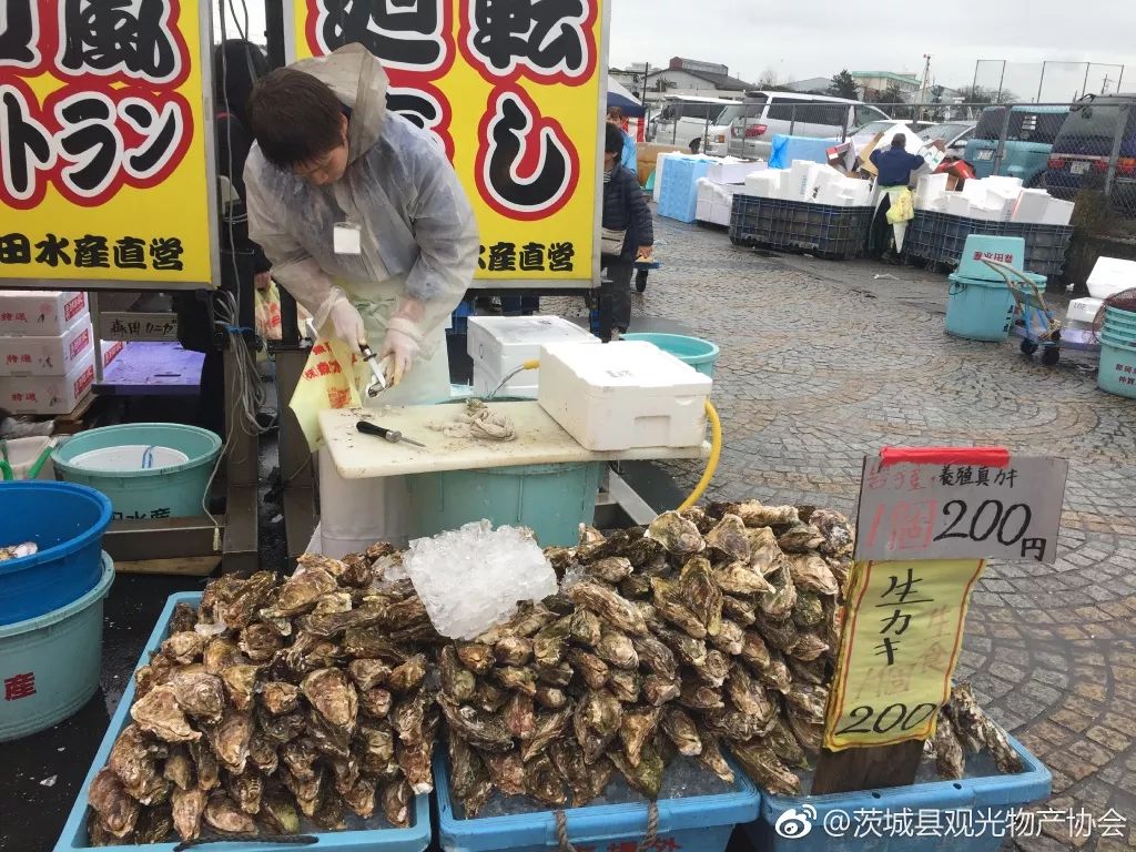 又挖出了個日本絕美縣城，一直到5月都有花海大片，國內3h直達遊客卻少得可憐 旅遊 第54張