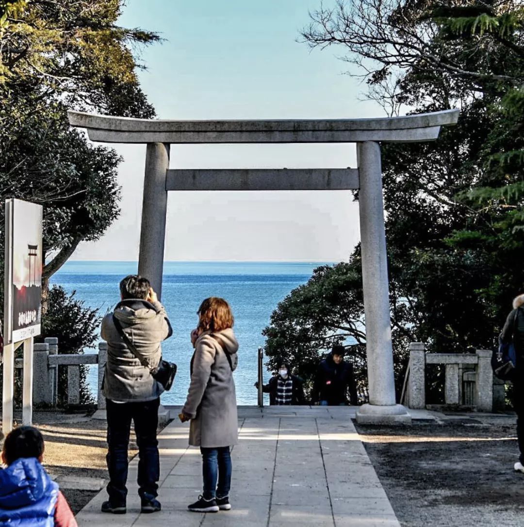 又挖出了個日本絕美縣城，一直到5月都有花海大片，國內3h直達遊客卻少得可憐 旅遊 第39張