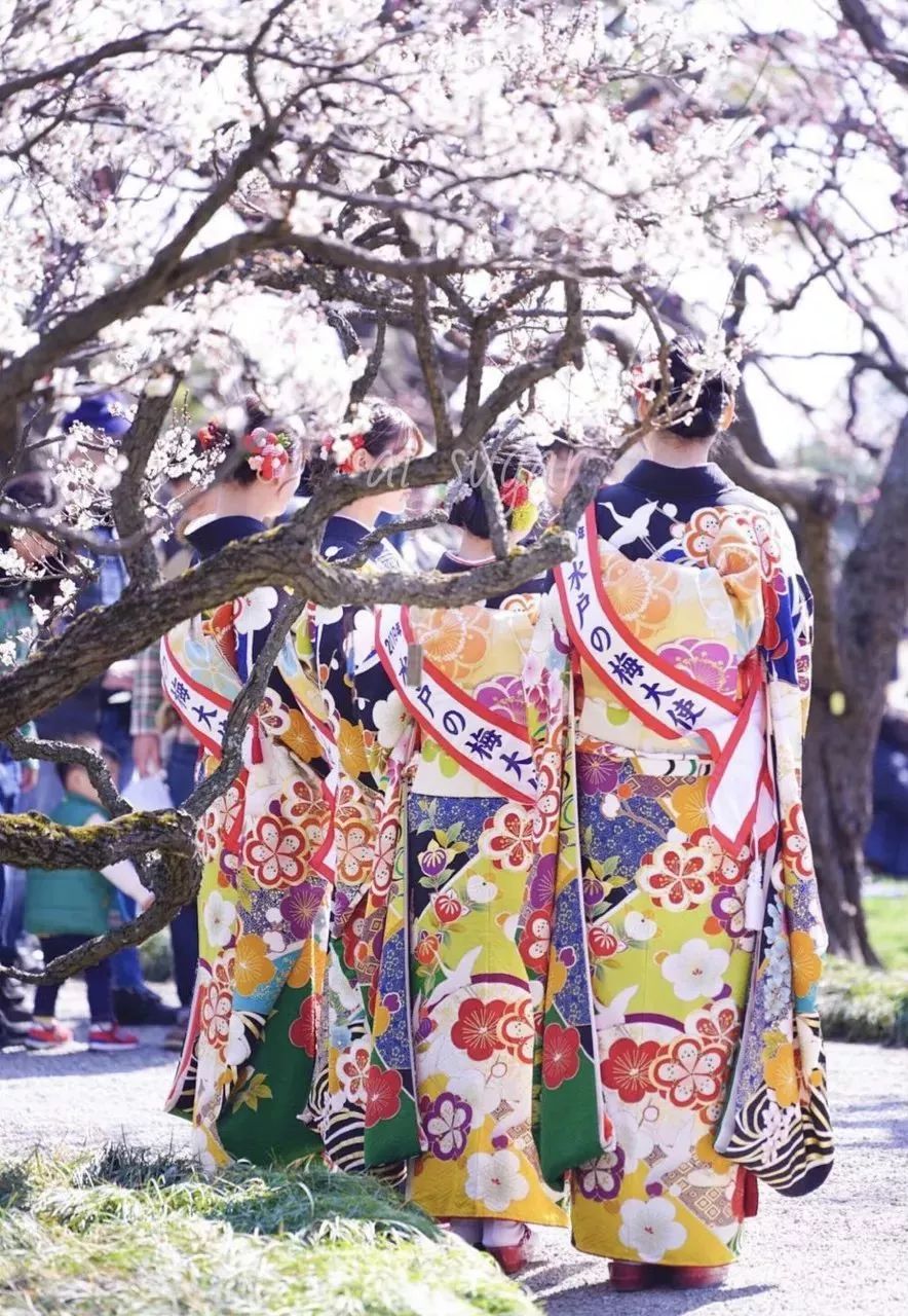 又挖出了個日本絕美縣城，一直到5月都有花海大片，國內3h直達遊客卻少得可憐 旅遊 第26張