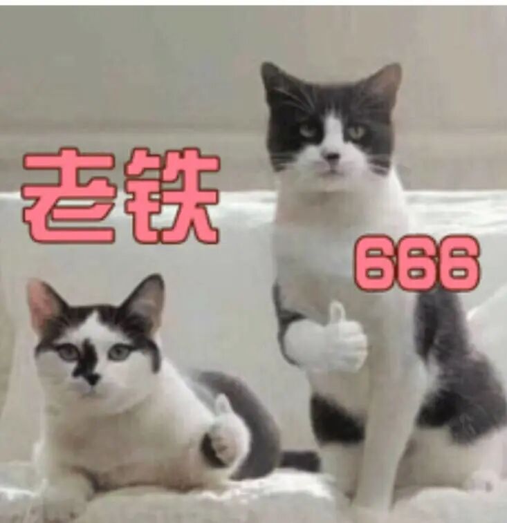 抖音web_抖音web是什么意思_抖音web端登录