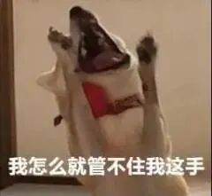 抖音web是什么意思_抖音web_抖音web端登录