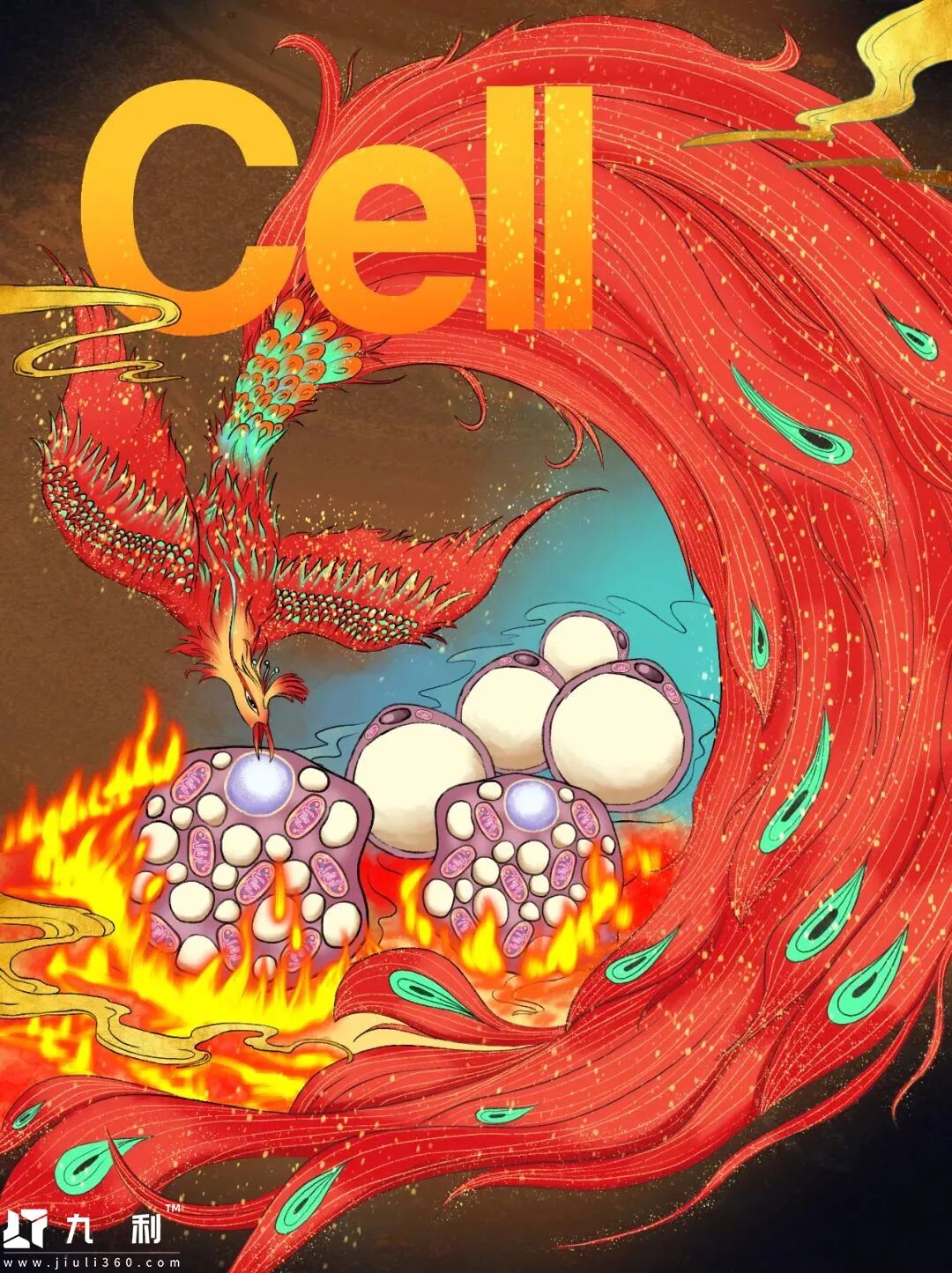 《细胞》封面图