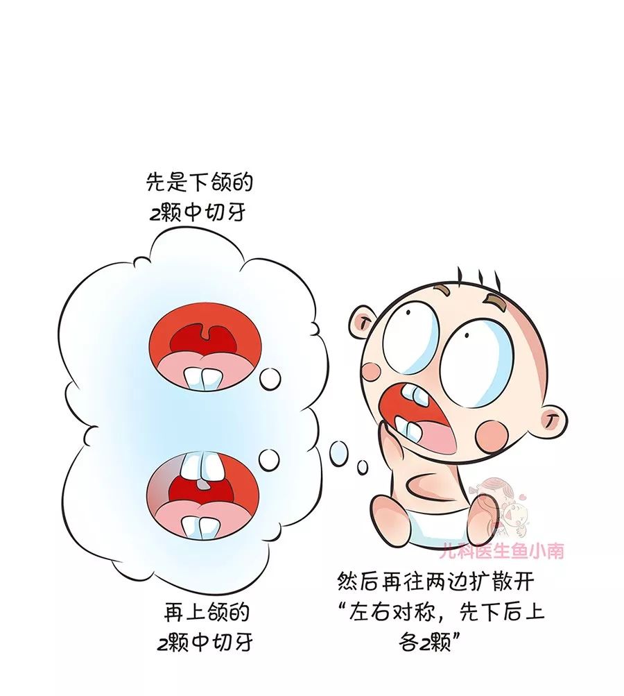 乳牙遲早要換，不用管它好不好？關於寶寶牙齒，爸媽常犯這2個錯 親子 第5張