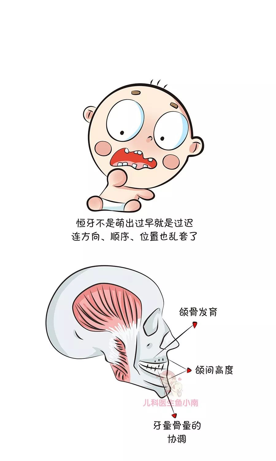 乳牙遲早要換，不用管它好不好？關於寶寶牙齒，爸媽常犯這2個錯 親子 第13張