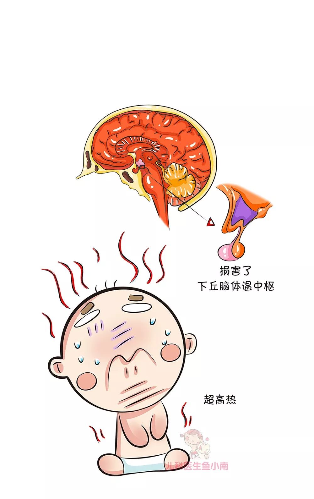 寶寶發燒會燒壞腦子嗎？什麼時候必須送醫院？一篇說透寶寶發燒所有事 親子 第15張