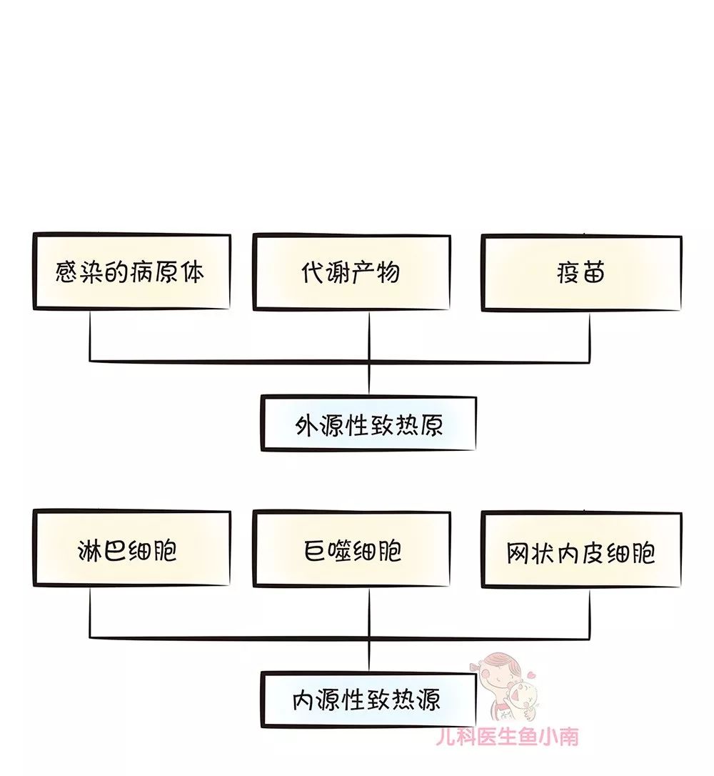 寶寶發燒會燒壞腦子嗎？什麼時候必須送醫院？一篇說透寶寶發燒所有事 親子 第11張