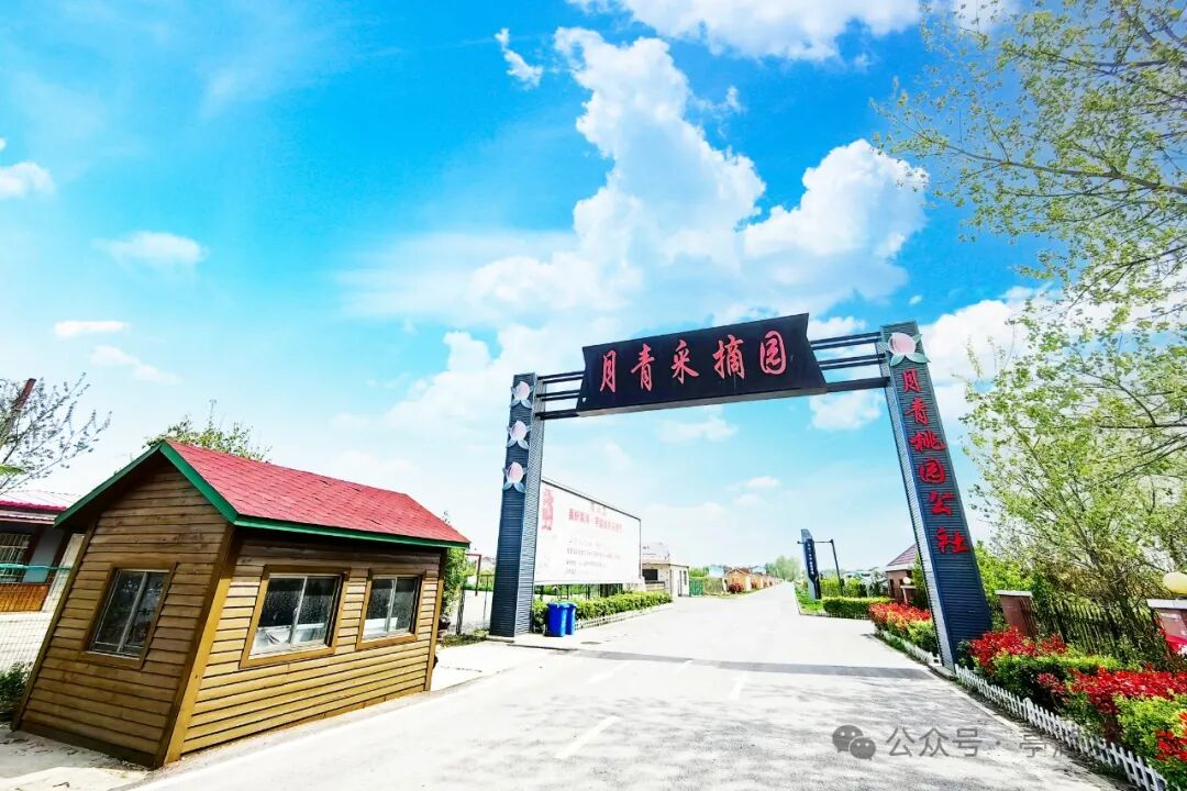 江苏亭湖:多维度融合发展"农业 ",绘就"甜蜜"产业好"丰"景