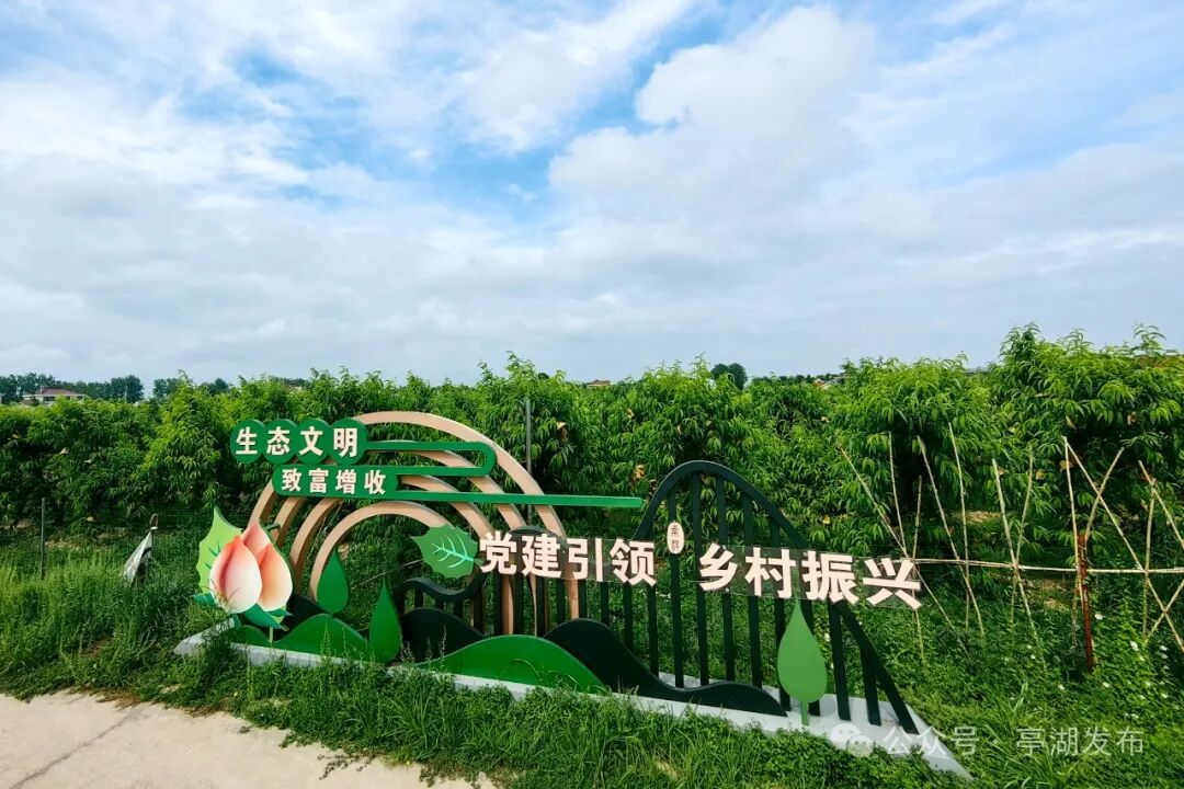 江苏亭湖:多维度融合发展"农业 ",绘就"甜蜜"产业好"丰"景