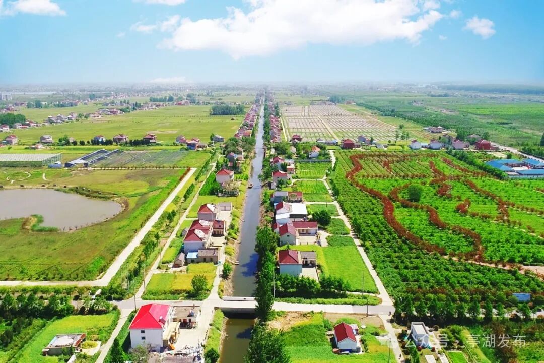 江苏亭湖:多维度融合发展"农业 ",绘就"甜蜜"产业好"丰"景