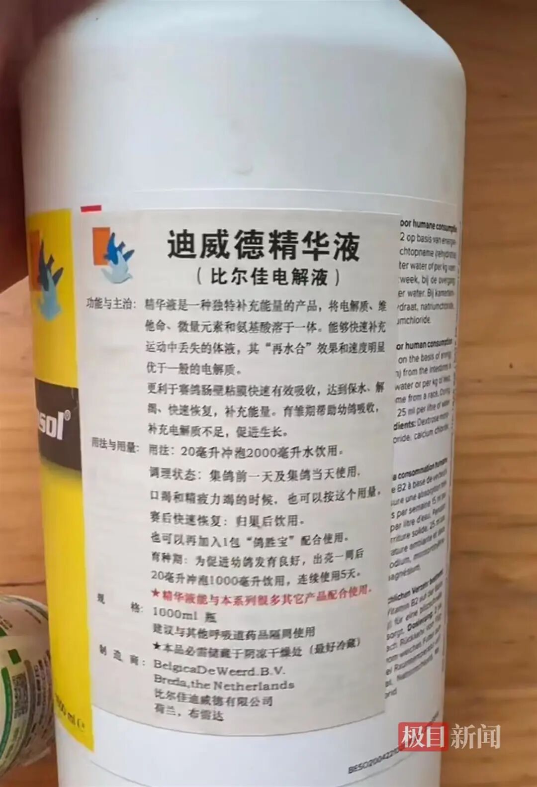 和平鸽也有工资