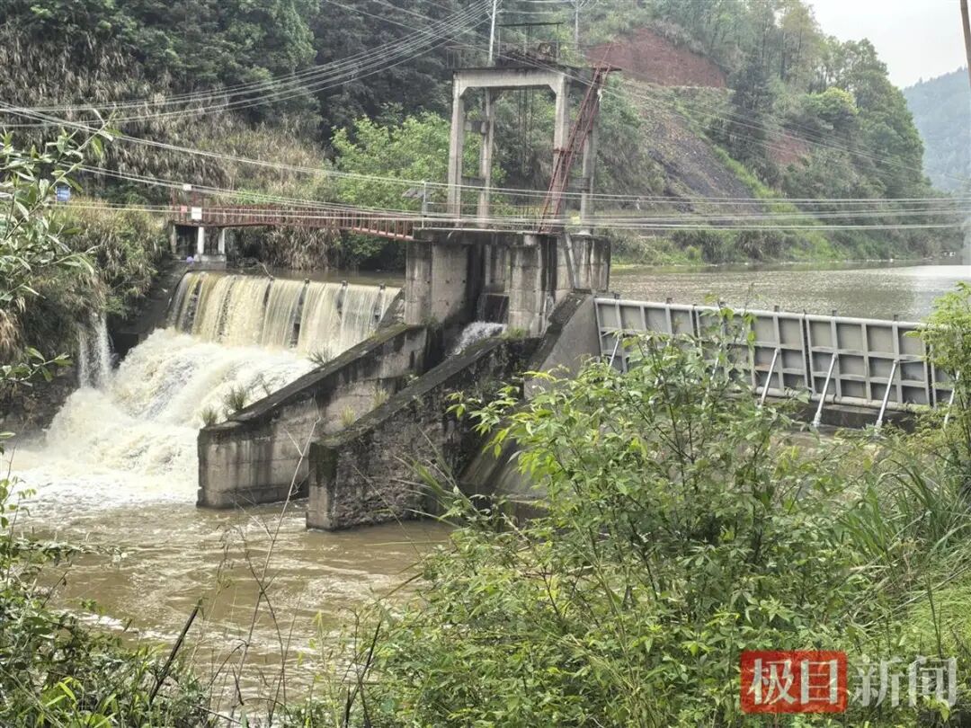 事发水域 极目新闻记者摄.png