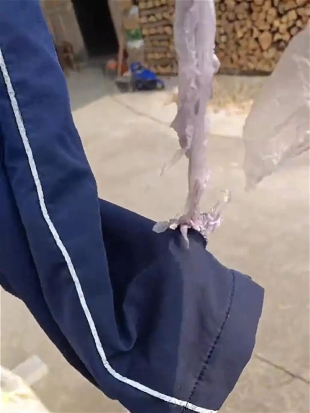 冬季校服中扯出薄膜