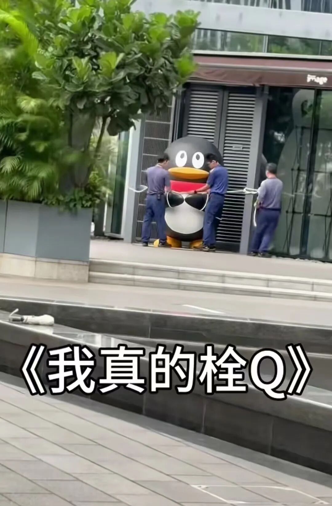机场飞机被五花大绑