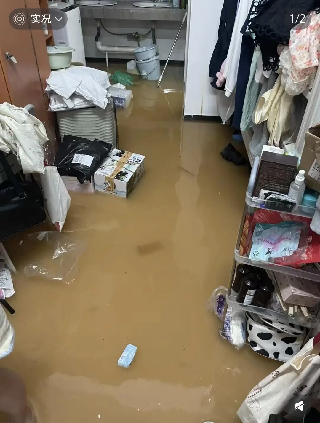 长沙一大学宿舍被淹,长沙一所大学宿舍因暴雨被淹，学生：当时积水已到脚踝，因为害怕..