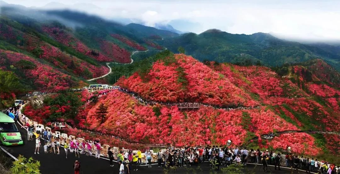 官宣了！8月8日起，免費！ 旅遊 第4張