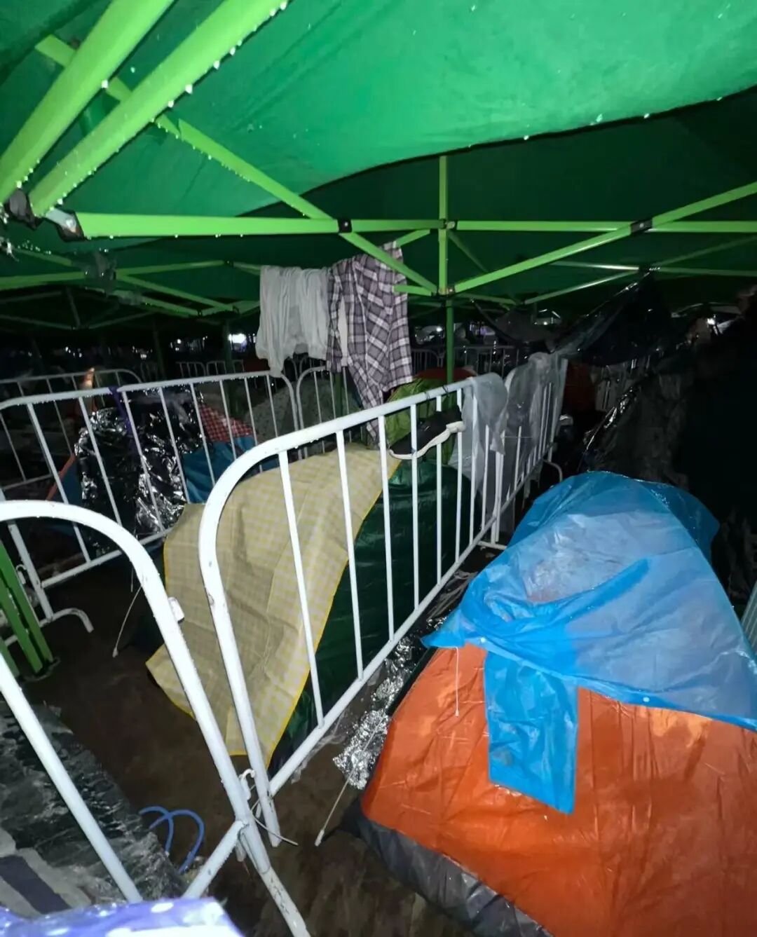 宝鸡一音乐节场外百余帐篷通宵夜排,宝鸡银杏音乐节场外百余帐篷通宵“夜排”，有粉丝..